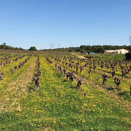 Le Clos Soleilhan Saint-Gervais (Gard)