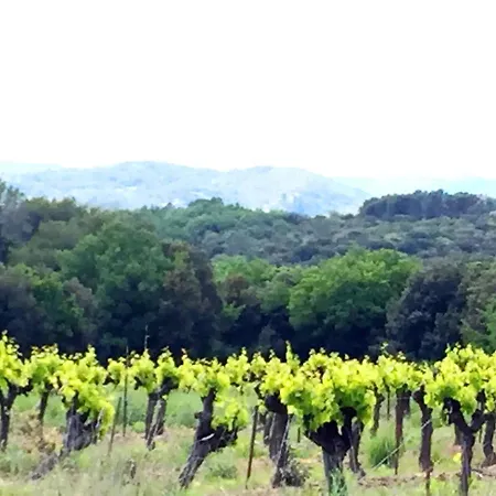 Le Clos Soleilhan Gæstehus